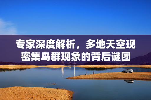专家深度解析，多地天空现密集鸟群现象的背后谜团
