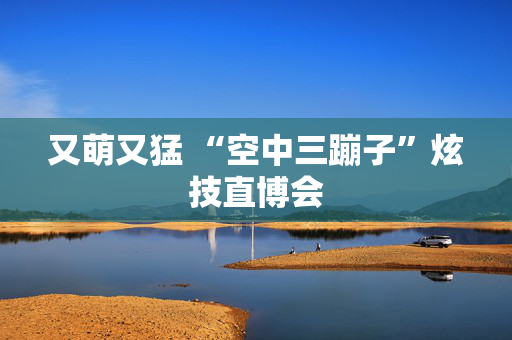又萌又猛 “空中三蹦子”炫技直博会