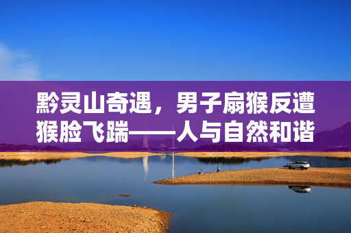 黔灵山奇遇，男子扇猴反遭猴脸飞踹——人与自然和谐共处的警醒