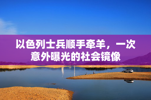 以色列士兵顺手牵羊，一次意外曝光的社会镜像