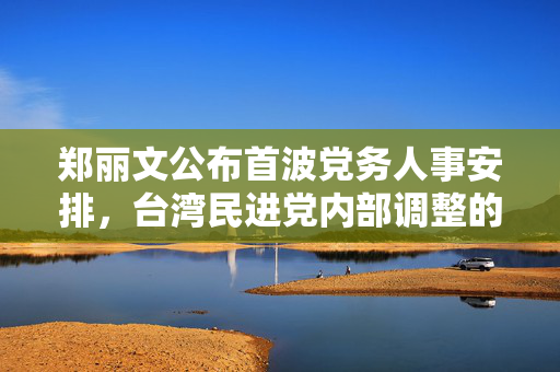 郑丽文公布首波党务人事安排，台湾民进党内部调整的深度解析