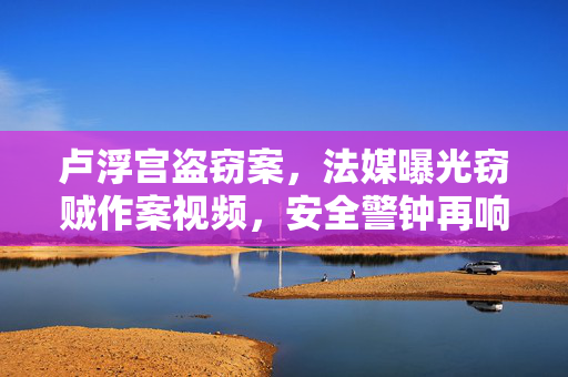 卢浮宫盗窃案，法媒曝光窃贼作案视频，安全警钟再响