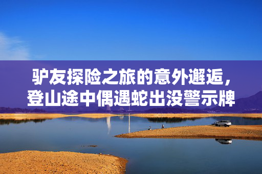 驴友探险之旅的意外邂逅，登山途中偶遇蛇出没警示牌的神秘之旅