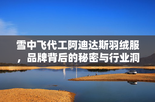 雪中飞代工阿迪达斯羽绒服，品牌背后的秘密与行业洞察