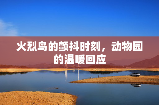 火烈鸟的颤抖时刻，动物园的温暖回应