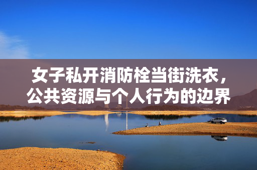 女子私开消防栓当街洗衣，公共资源与个人行为的边界探讨