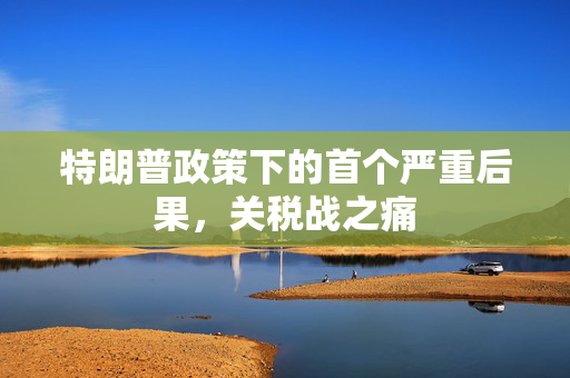 特朗普政策下的首个严重后果，关税战之痛