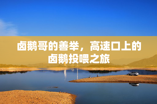 卤鹅哥的善举，高速口上的卤鹅投喂之旅