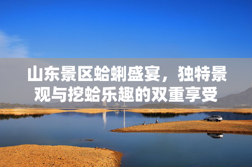山东景区蛤蜊盛宴，独特景观与挖蛤乐趣的双重享受