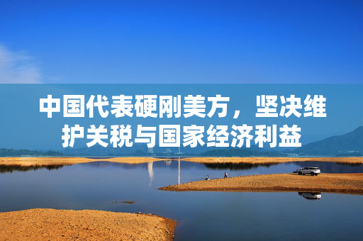 中国代表硬刚美方，坚决维护关税与国家经济利益