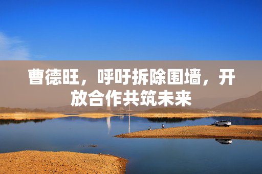 曹德旺，呼吁拆除围墙，开放合作共筑未来