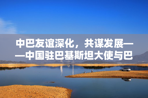 中巴友谊深化，共谋发展——中国驻巴基斯坦大使与巴总理会面纪实