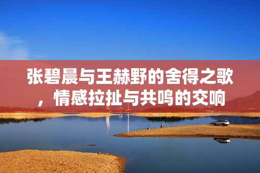 张碧晨与王赫野的舍得之歌，情感拉扯与共鸣的交响