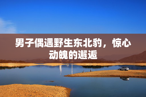 男子偶遇野生东北豹，惊心动魄的邂逅