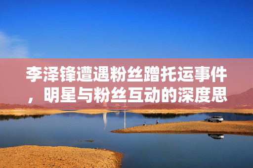 李泽锋遭遇粉丝蹭托运事件，明星与粉丝互动的深度思考